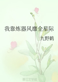 我的丝母欲韵小说全文