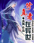 2024交换的一天中文版