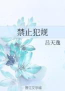 全职法师第7季免费观看完整版