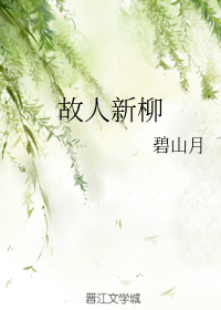 全职法师第一季在线观看