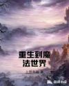 gpuz中文版