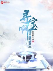 大鉴定师