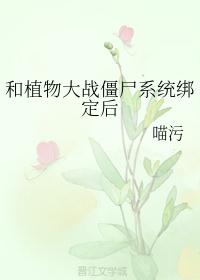 嫁给傻子表哥