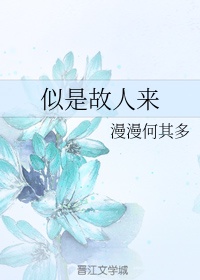 白洁教师小说