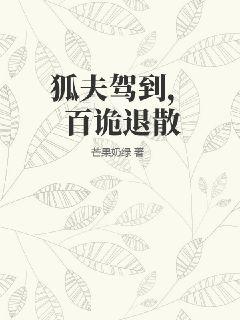 一路向西未删减版