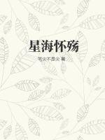 火炬之光2法师属性点