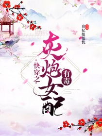 灰毛衣在线观看完整版