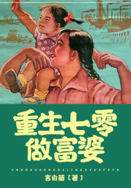 宝莲灯小说