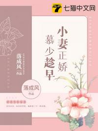 全能厨神系统