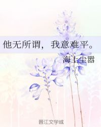 蓝天航空公司第二部11