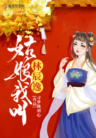 白洁教师小说